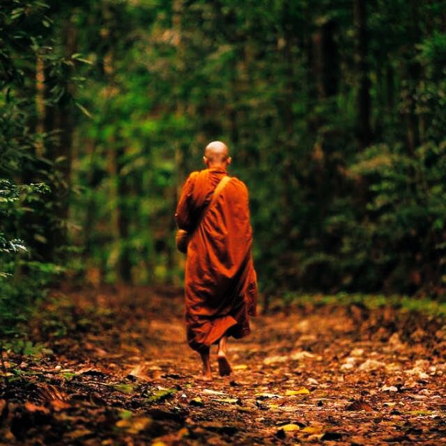 Somos_Buddha's tweet photo. “Buda en ningún momento pretendió ser otra cosa que un ser humano. Su enseñanza gira alrededor del problema del sufrimiento humano e indica un camino que, siguiéndolo, asegura al hombre la solución de este problema sin ayuda de fuerzas sobrenaturales o exteriores a él”. #Namaste https://t.co/uRiQ01h2Vd
