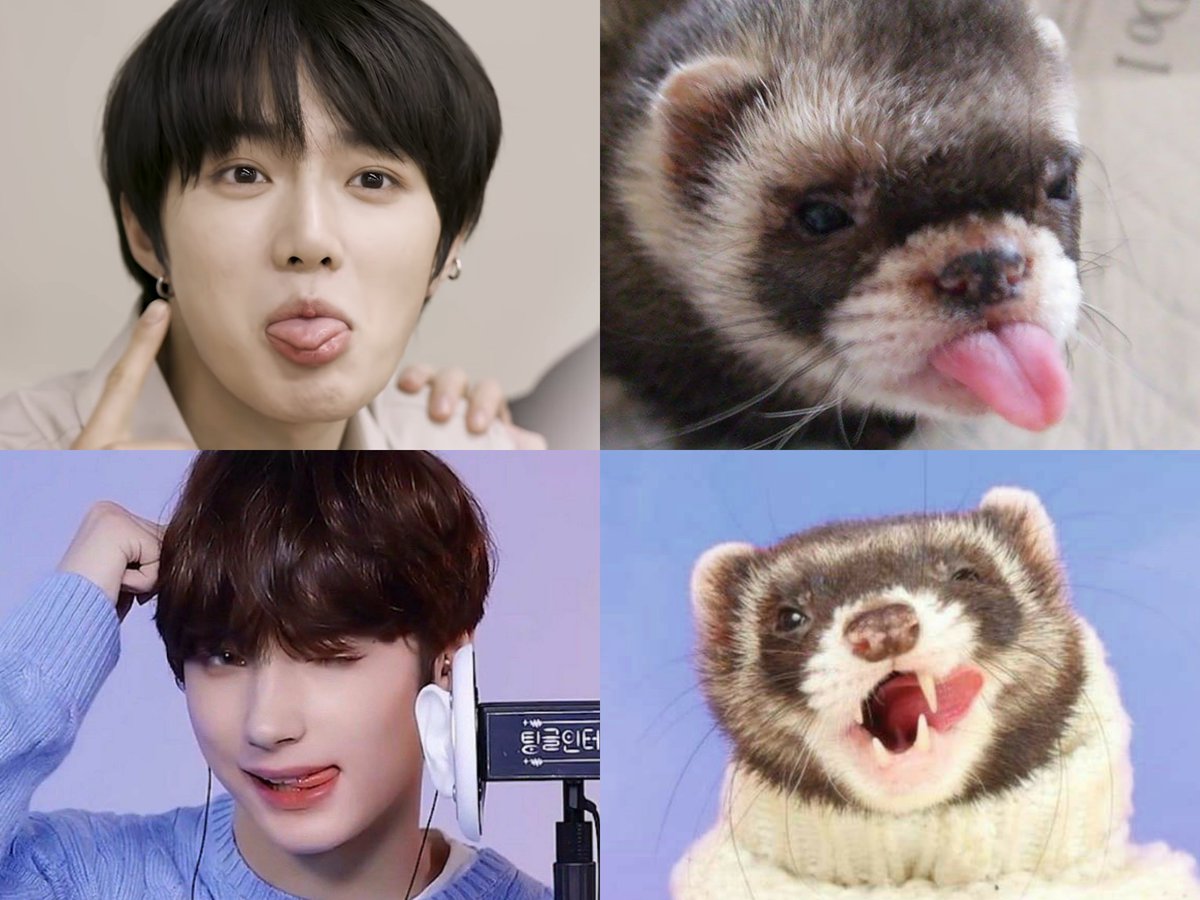 beomkai blep :þ