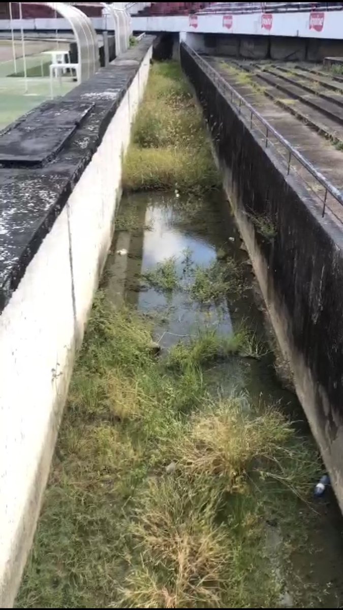 reportergondim's tweet photo. Segue a todo o vapor o processo de SABOTAGEM e FECHAMENTO do Santa Cruz capitaneado por Joaquim Bezerra.

O Arruda está em estado deplorável por pura irresponsabilidade e negligência do IPC e ProSanta.

Atletas alojados e funcionários estão sujeitos a contrair doenças. ABSURDO! https://t.co/RQ69kzeqTw