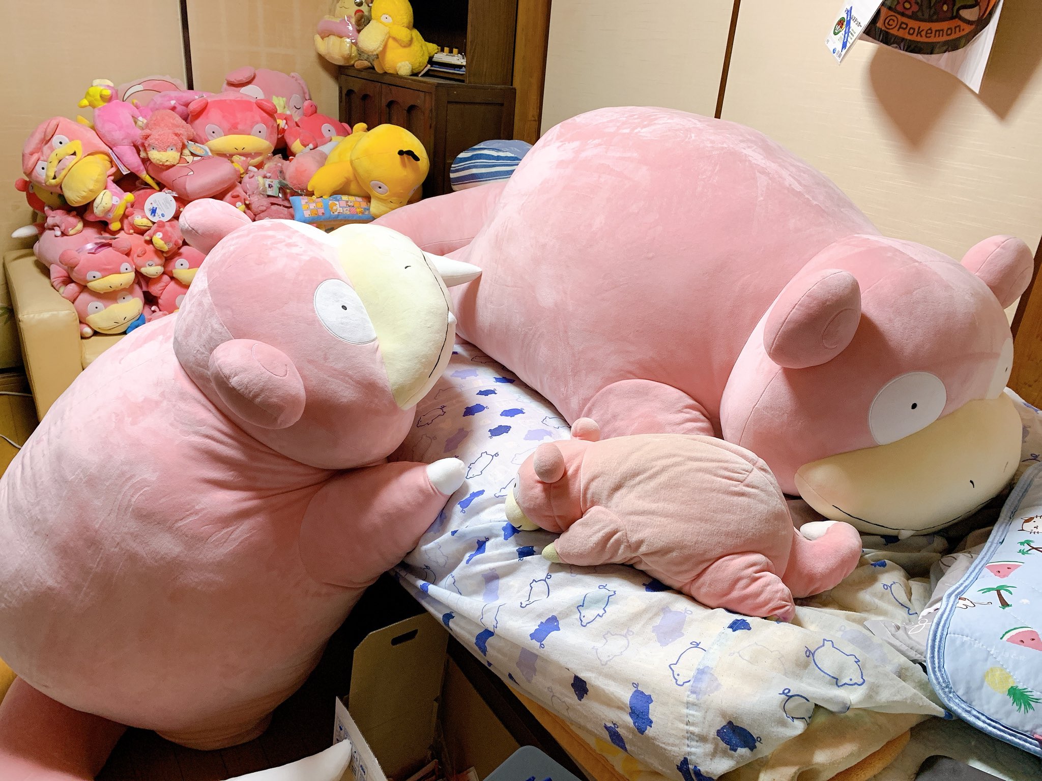 等身大ヤドン