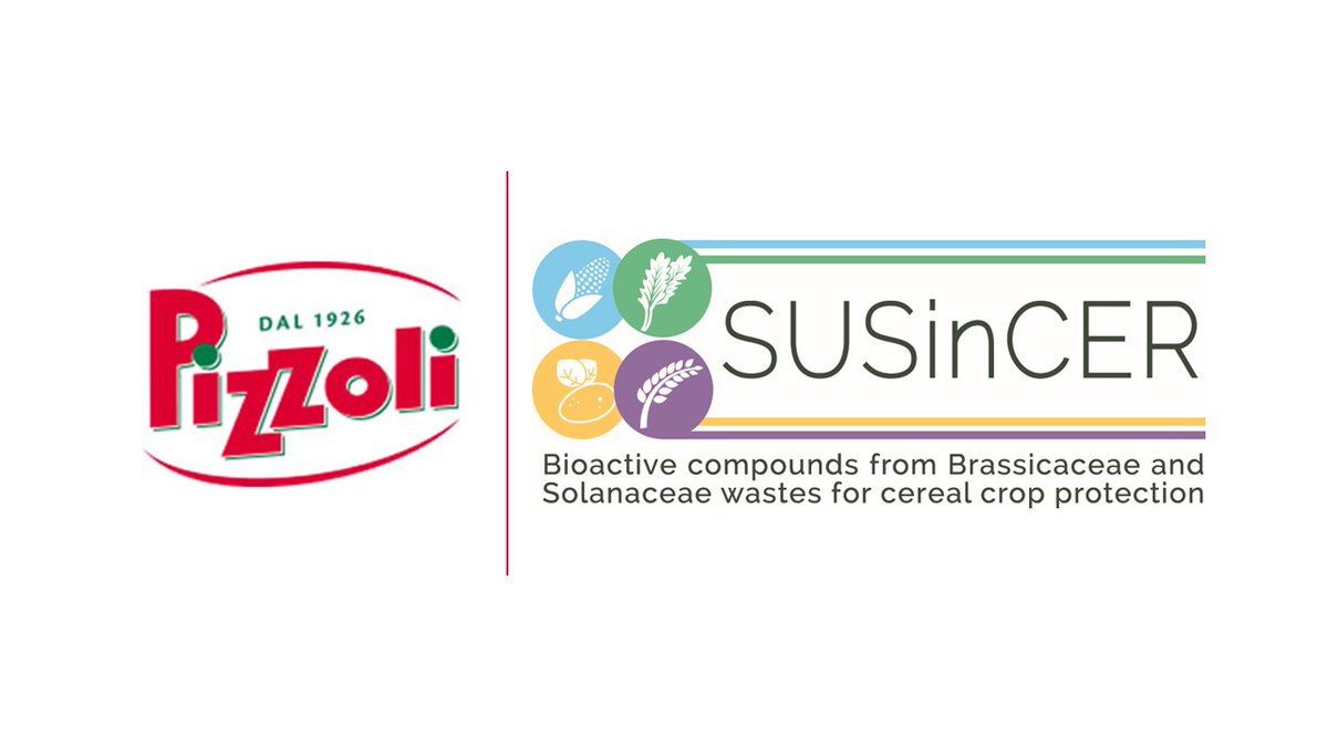 SusincerProject's tweet photo. Pizzoli, la più importante realtà agro-industriale nel settore pataticolo, entra a far parte del team SUSinCER #conFondazioneCariplo @FondCariplo @CREA_Ricerca  @formicablu https://t.co/Vo7kVFAd25