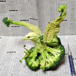 美しすぎる!ブロッコリーで作った鷹が凄すぎw