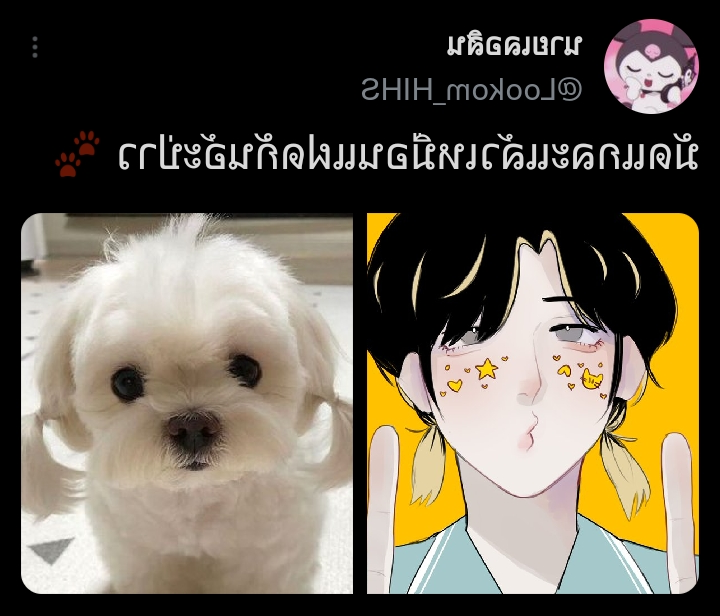 Lookom_HIHS's tweet photo. @Paul_HIHS จริง น่ารักมาก https://t.co/iI8cOdj9Oa