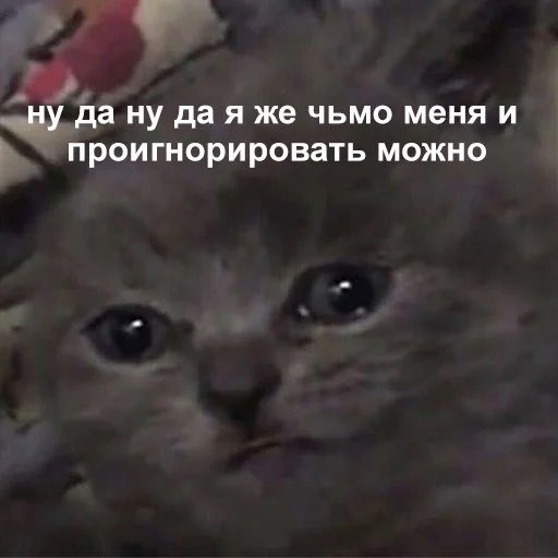 sharon_fzl's tweet photo. Я: говорю без остановки, не давая возможности психотерапевту ставить хоть словечко

Психотерапевт: https://t.co/uHfe9ELOaw