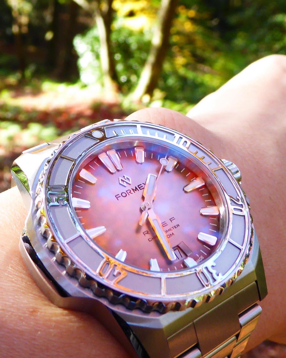 KMachi49's tweet photo. えぇ色や😁
#formexreef
@CrystalGuard
@chronotheory https://t.co/zgNtXHPIso