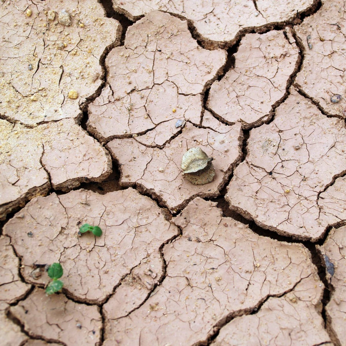 EMforCharity's tweet photo. #theday #sustainability🫂
🖐

🌎Mother Earth is able to generate all the resources. Everything consumed after that is a debt to the environmental wich we must urgently settle. ❗
#footprint
💜💙💚

#objectives #helpandinspire #emforcharity #planetimpact #wastedfood #plant https://t.co/KgYT8VLs1I