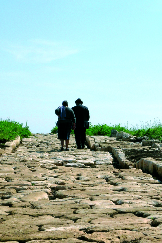Compagnialepini's tweet photo. 🌿 Una #passeggiata al #Parco #Archeologico dell'#Antica #Norba 🌿

#igers #igersitalia #igerslazio #igersnorma #igerslatina #photooftheday #photo https://t.co/exunqN5Gpi