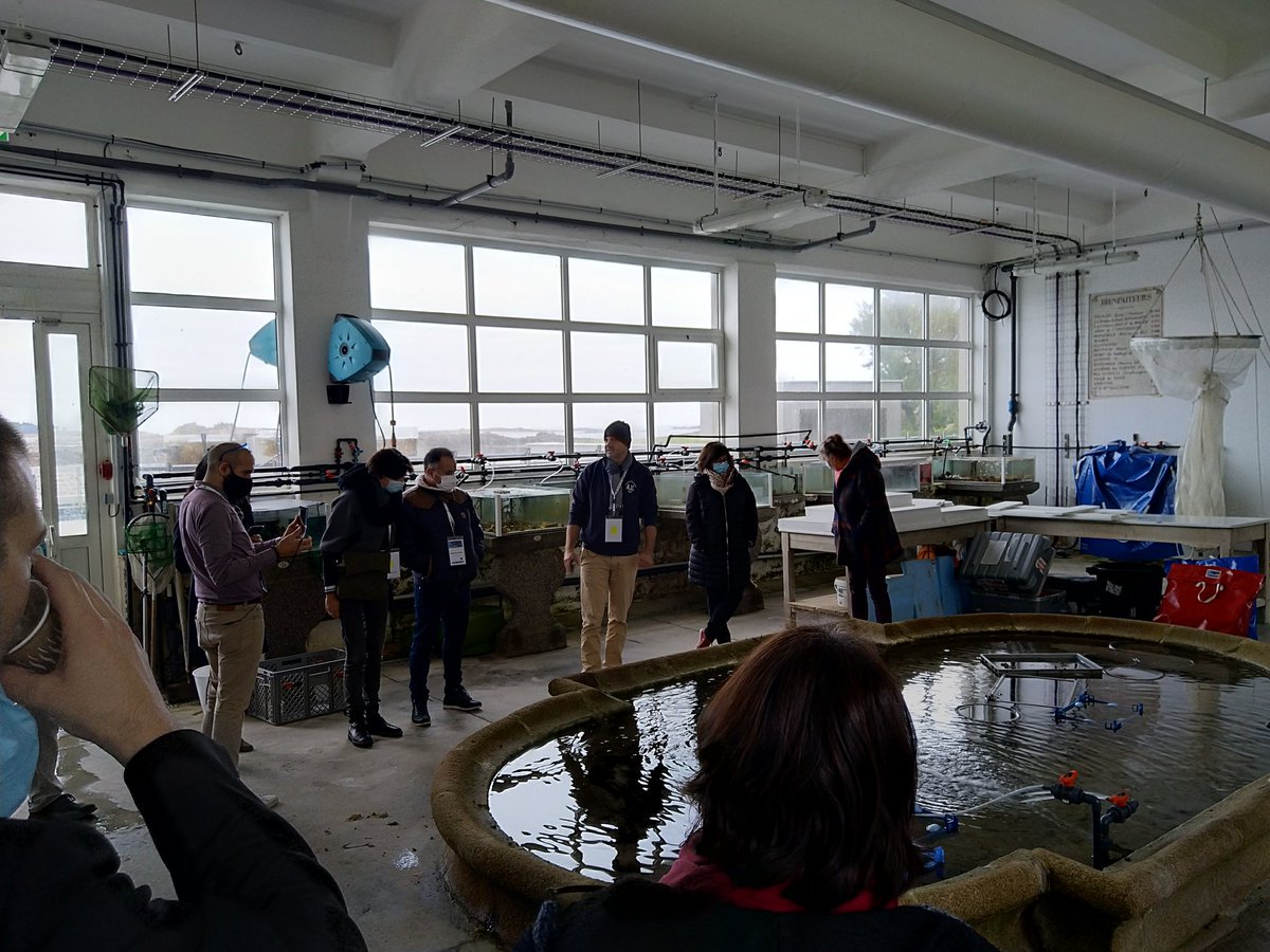 CampusMer's tweet photo. Début de la visite #RencontreImmersion x #Break4Tech avec une déambulation marine dans l'aquarium de la @SBRoscoff, avec un guide de choix : @bach_stephane. https://t.co/LswGNhAaZx