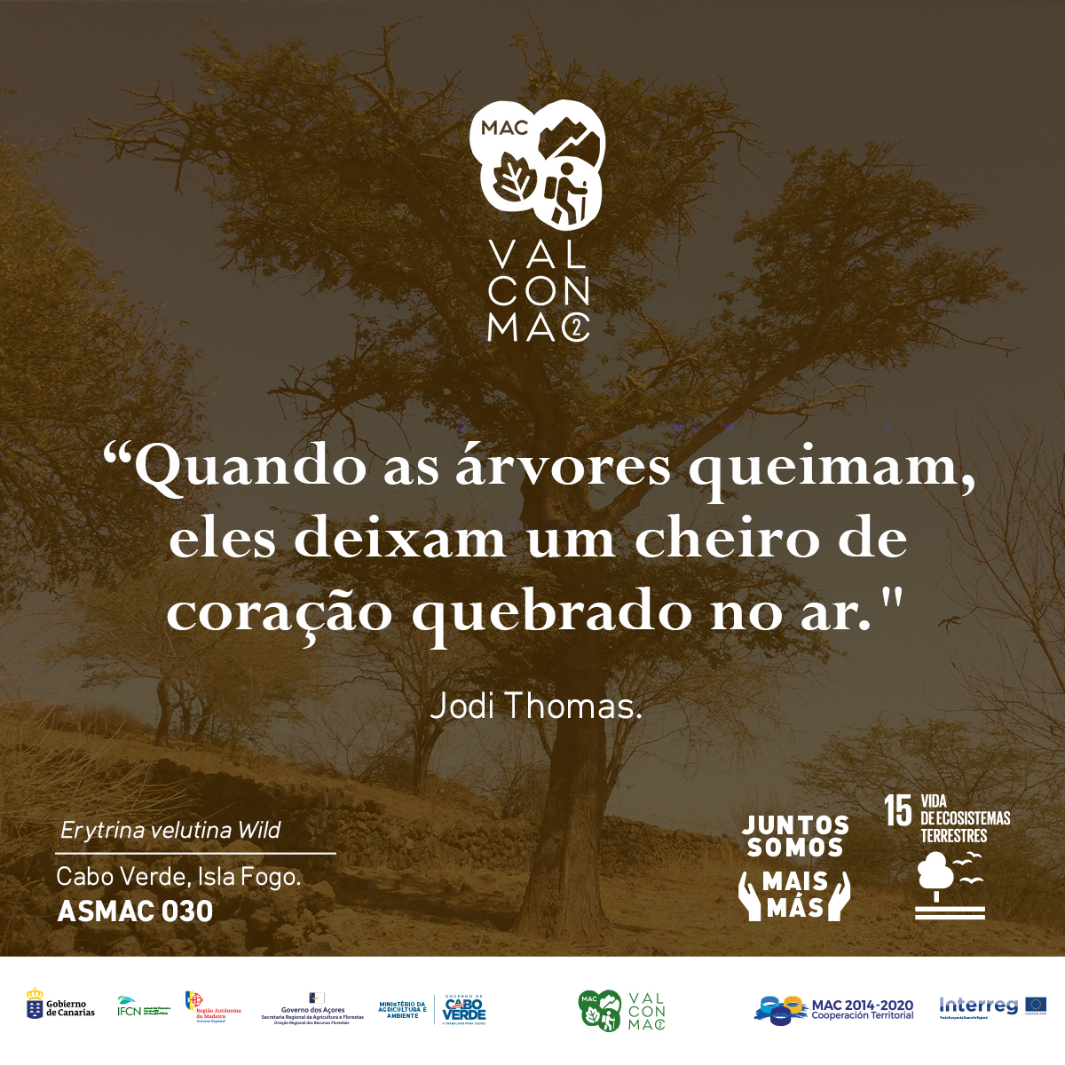 valconmac2's tweet photo. 🌳💚📜
#valconmac2 #juntossomosmais #poemas #frasescelebres #jodithomas https://t.co/wy1pU0Gcdg