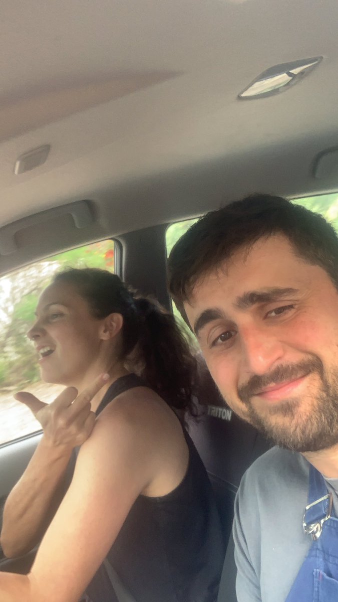 Dr SWIFT PARROT tweet media