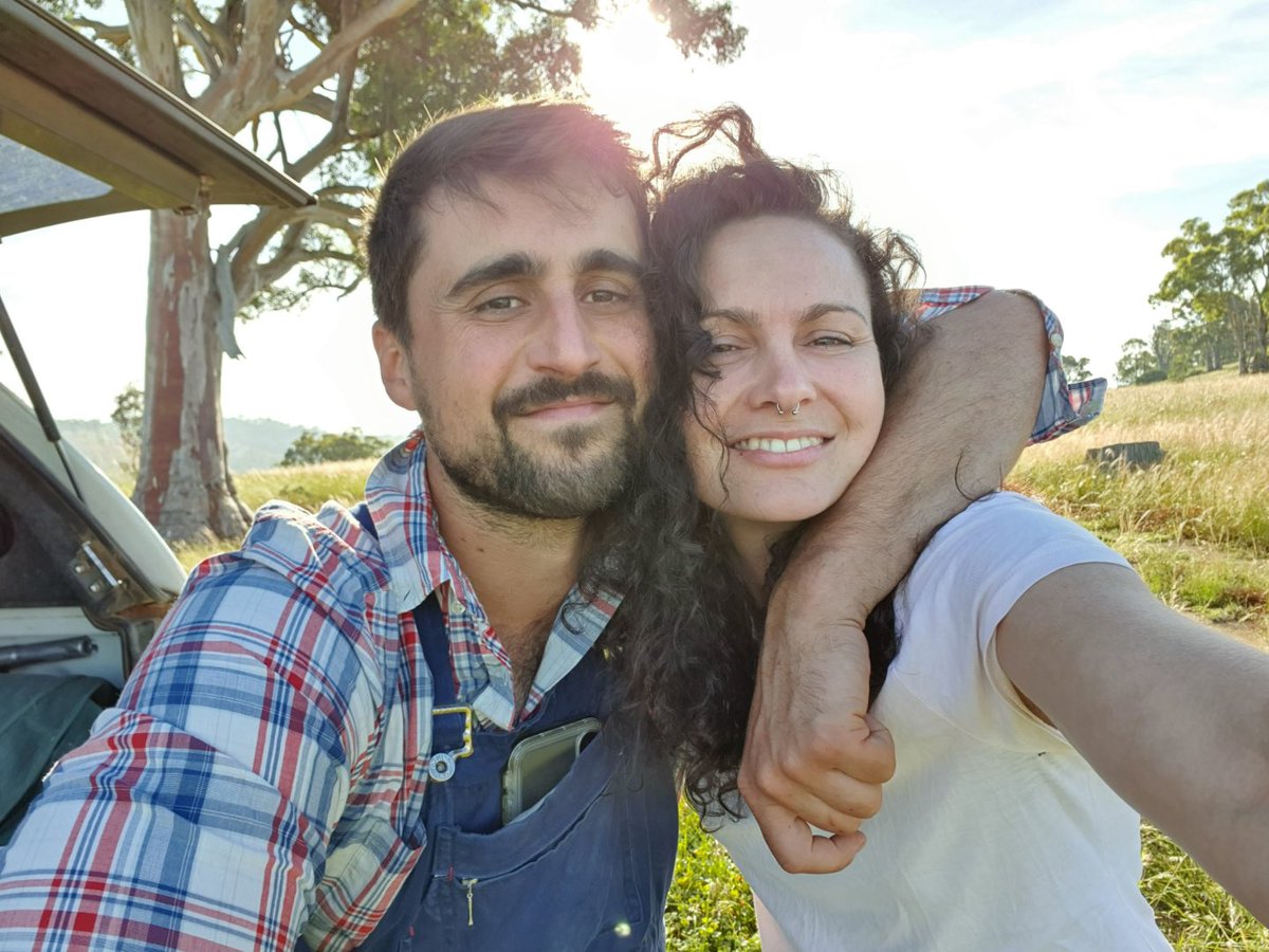 Dr SWIFT PARROT tweet media