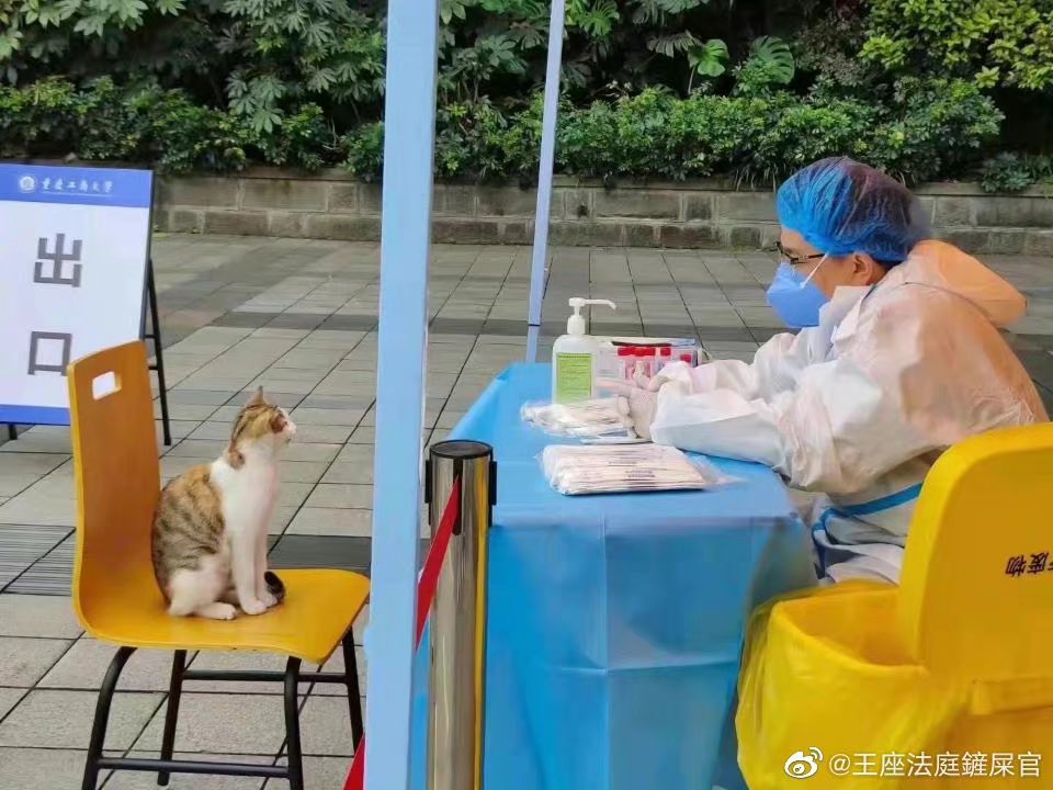 ming oh tweet media