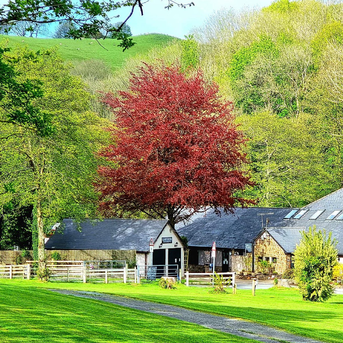WeAcceptPets's tweet photo. Your dog 🐶 will love a stay at Mill Park Caravan & Campsite. They have dedicated 3 acres for them to exercise. The site also has a great selection of facilities for all to enjoy.
https://t.co/SglvSw0YmS
#Berrynarbor #Ilfracombe #Devon #Camping #Glamping #DogFriendly #Seaside https://t.co/jAQVUoIX3s