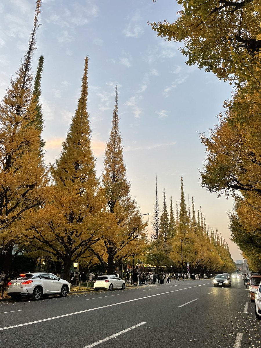 初ツイート‼️ひゅーひゅー😀