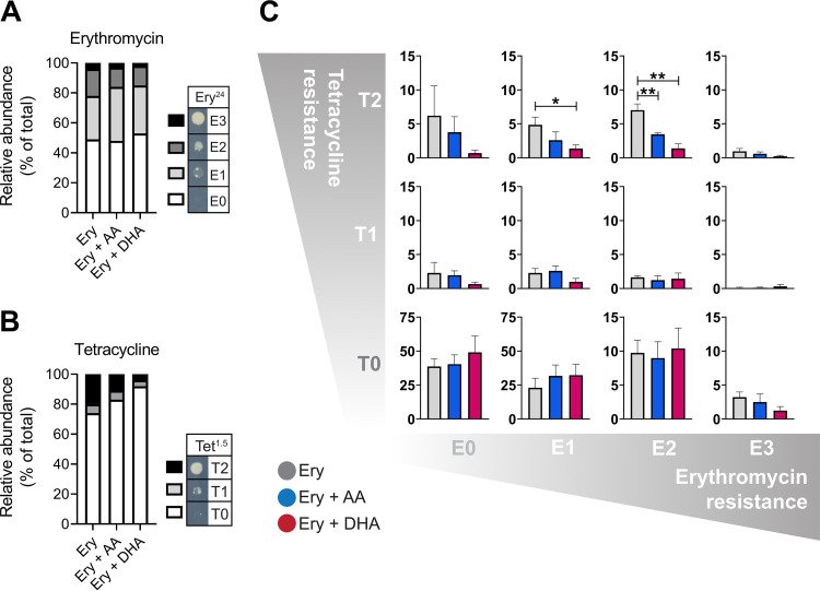 EijkelkampLab (@eijkelkamplab) on Twitter photo Polyunsaturated fatty acids influence the rate of <a href="/A_baumannii/">๐ผ๐๐๐ฃ๐๐ฉ๐ค๐๐๐๐ฉ๐๐ง ๐๐๐ช๐ข๐๐ฃ๐ฃ๐๐</a> resistance gain by interfering with its efflux pumps. A cool new microevolution study by <a href="/maoge_zang/">Maoge (Lawrence) Zang</a> <a href="/AdamsFelise/">Felise Adams</a> and <a href="/BRaTlab/">Karl Hassan</a> out in <a href="/JournalSpectrum/">Microbiology Spectrum</a> pubmed.ncbi.nlm.nih.gov/34762519/ Polyunsaturated fatty acids influence the rate of <a href="/A_baumannii/">๐ผ๐๐๐ฃ๐๐ฉ๐ค๐๐๐๐ฉ๐๐ง ๐๐๐ช๐ข๐๐ฃ๐ฃ๐๐</a> resistance gain by interfering with its efflux pumps. A cool new microevolution study by <a href="/maoge_zang/">Maoge (Lawrence) Zang</a> <a href="/AdamsFelise/">Felise Adams</a> and <a href="/BRaTlab/">Karl Hassan</a> out in <a href="/JournalSpectrum/">Microbiology Spectrum</a> pubmed.ncbi.nlm.nih.gov/34762519/