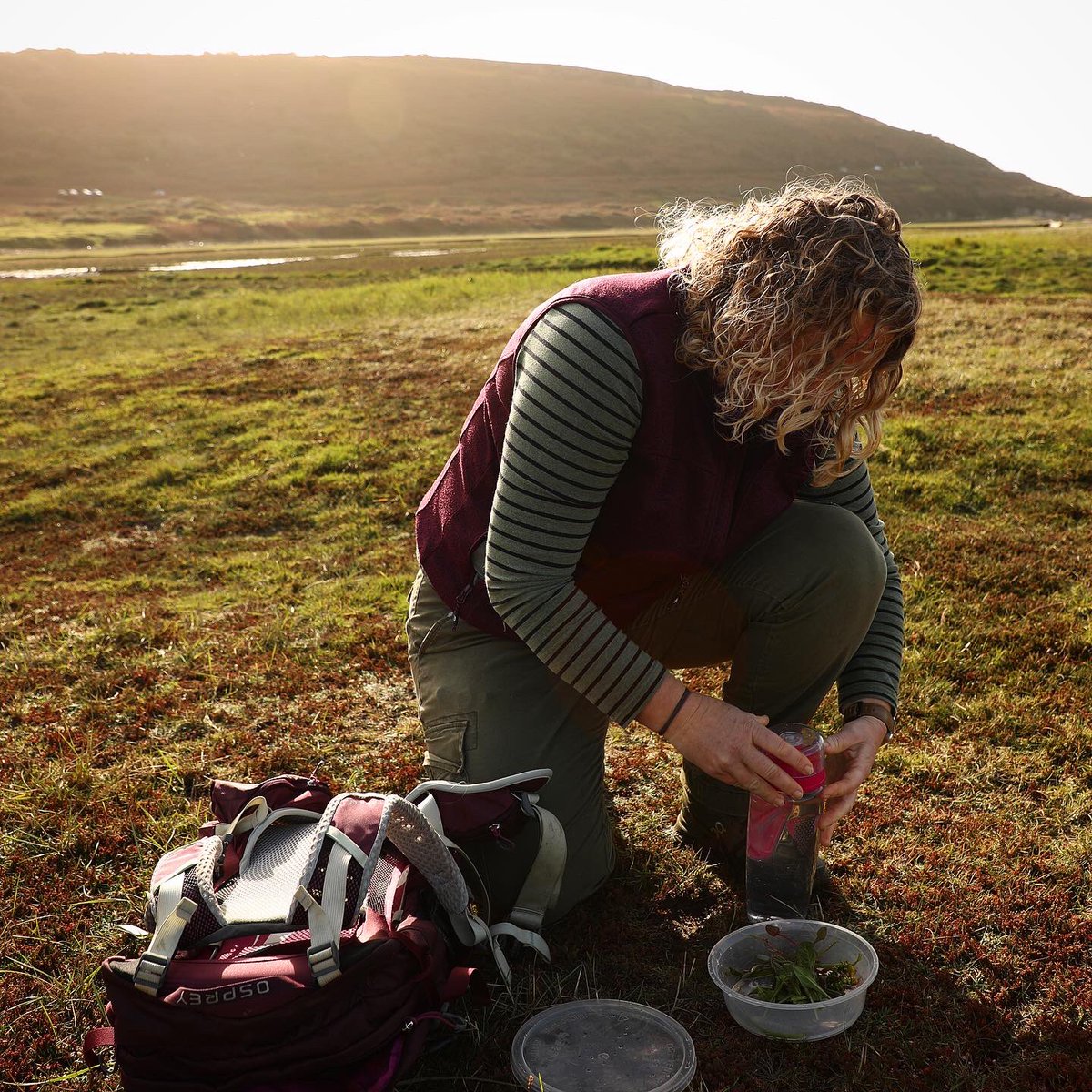 PhoebeRSmith's tweet photo. Back in #VGlam for the final time and I’m on the Culinary Trail! From foraging at Ogmore for marsh samphire and sea beet with @bushcraftwales to cakes @CobblesKitchen & sampling @barryislandgin I’ve been filling my boots inside and out #visitthevale #trailsfromthevale #ad https://t.co/I8UuC1p2pw
