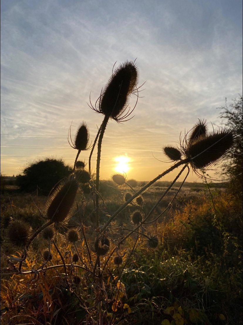 Poppy Patrol tweet media