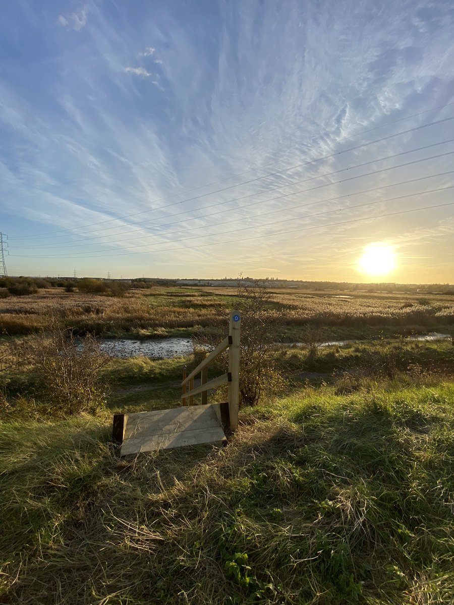 Poppy Patrol tweet media