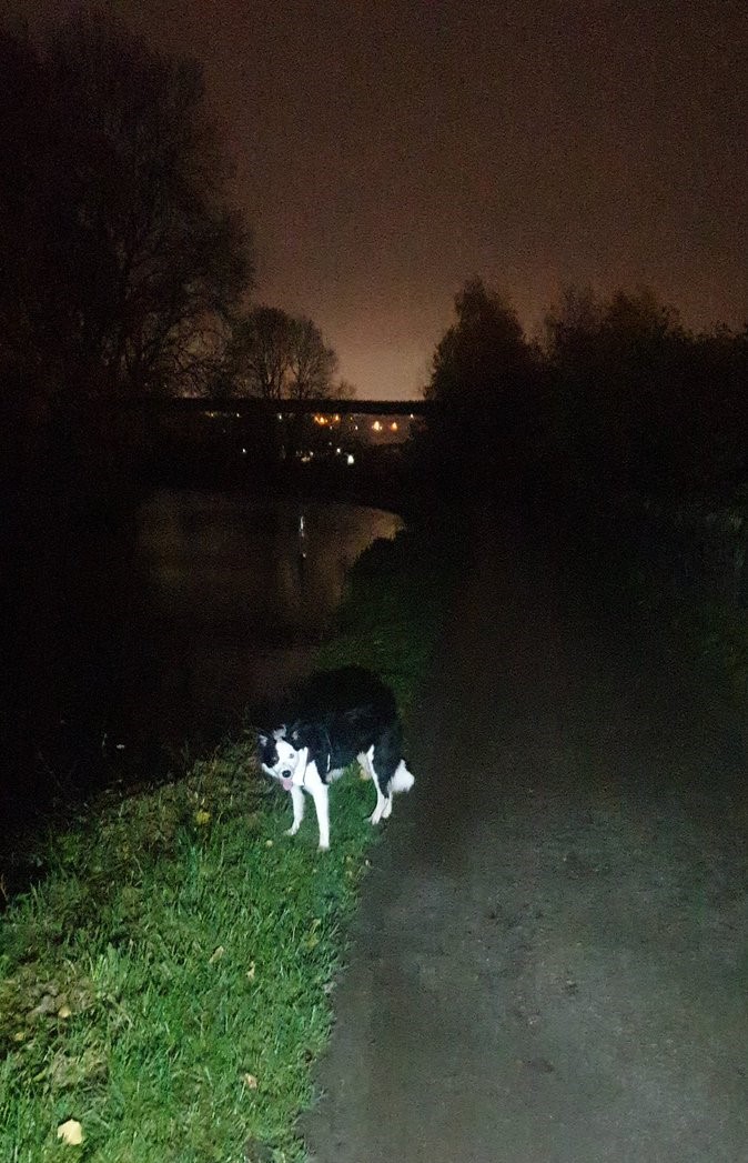 runbfd's tweet photo. Last bit of #DarkRun training for the 'Starlight Yorkshire Dales 20 miler' next week 🌠🏃‍♀️⏬

https://t.co/GaLOsijTbY

Brought the wolf along for company 🐺

#RunBradford (well, almost... the Dales are fairly close!) https://t.co/F6muCr14b4