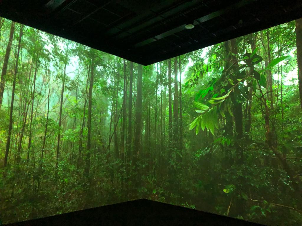 pilsparis's tweet photo. On peut parler de l'Odyssée Sensorielle au Musée d'Histoire Naturelle ?? Sans aucun doute une de nos expos préférées !! 😍 @Le_Museum @Sensory_Odyssey vous nous avez bluffé bravo 👏🏻  #expoparis #Odysseesensorielle #MHN https://t.co/h5KO3yz3j8