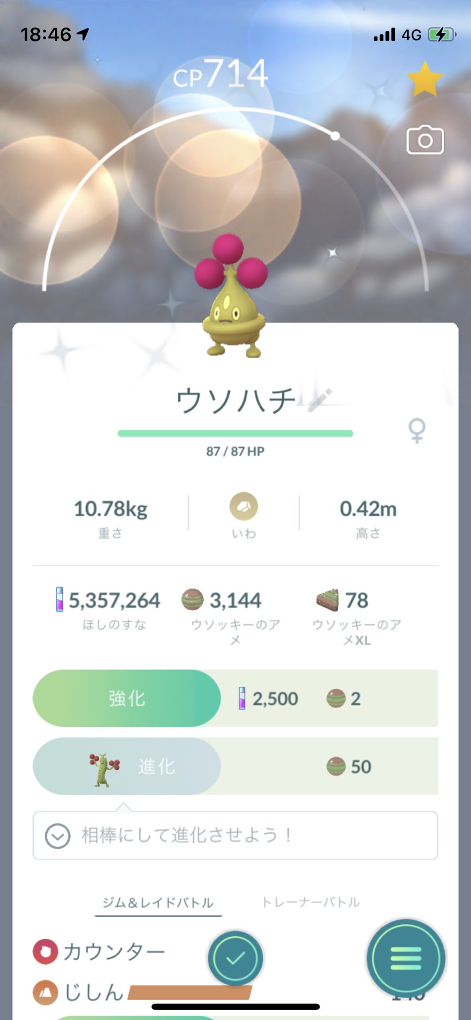 ウソハチ色違い Twitter Search Twitter