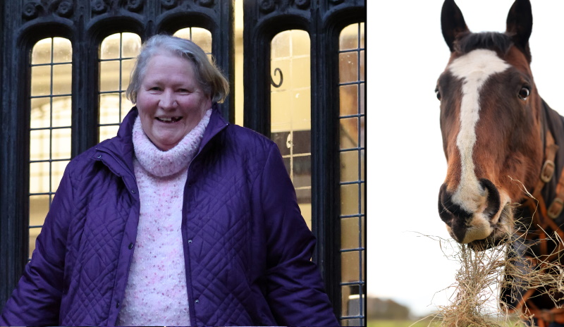 Grandmother issued with restraining order to stop feeding carrots to "sad" horse richmondshiretoday.co.uk/grandmother-is…