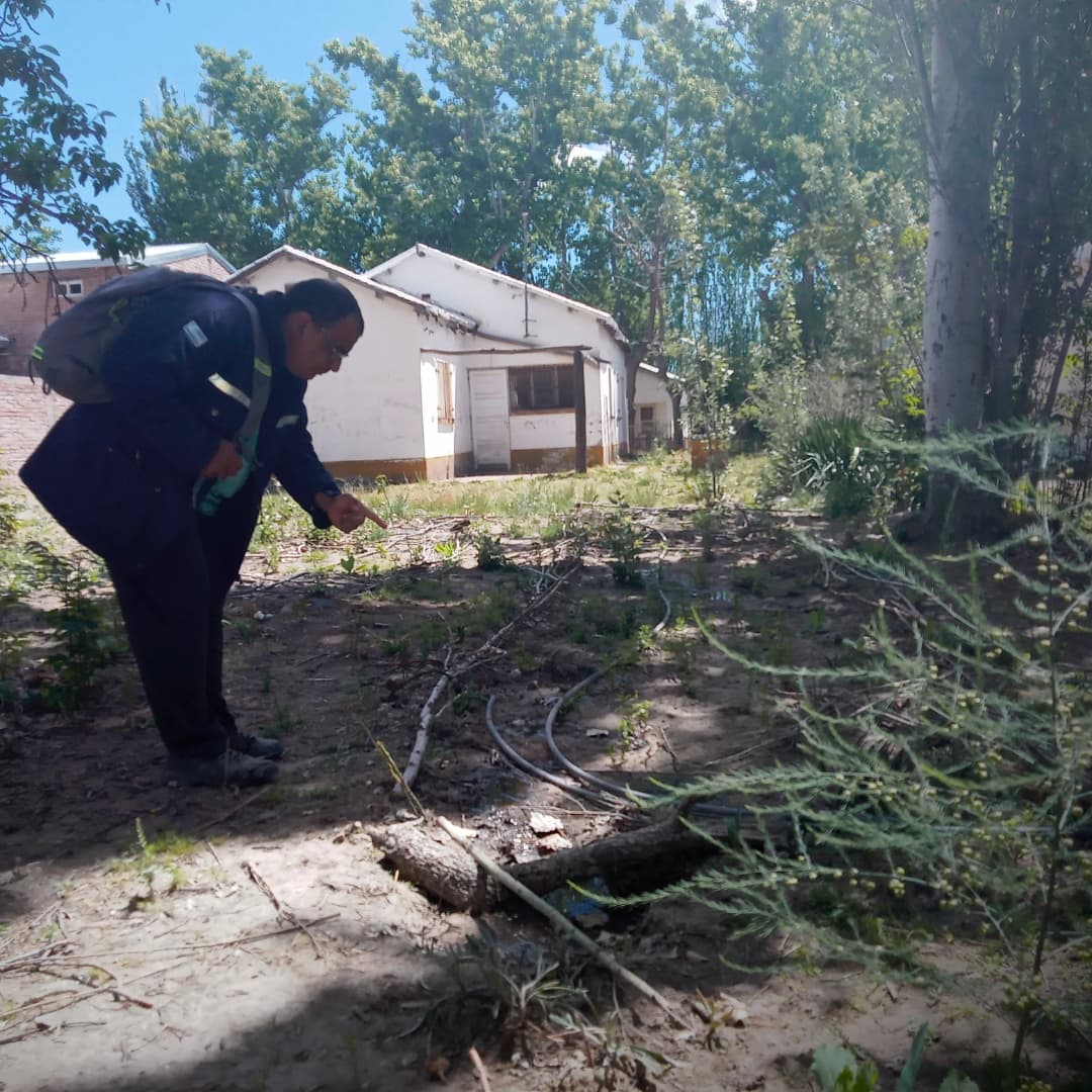 WillkakutiSR's tweet image. #Willkakuti comparte algunas imágenes de las plantas 🌿 y flores 🌼 de los canteros de aromáticas en el espacio que nos comparte Tu Municipio - Coordinación Integral de la Persona con Discapacidad .
#programadeautonomiaalimentaria
#plandeemergenciaalimentaria
#tumunicipio