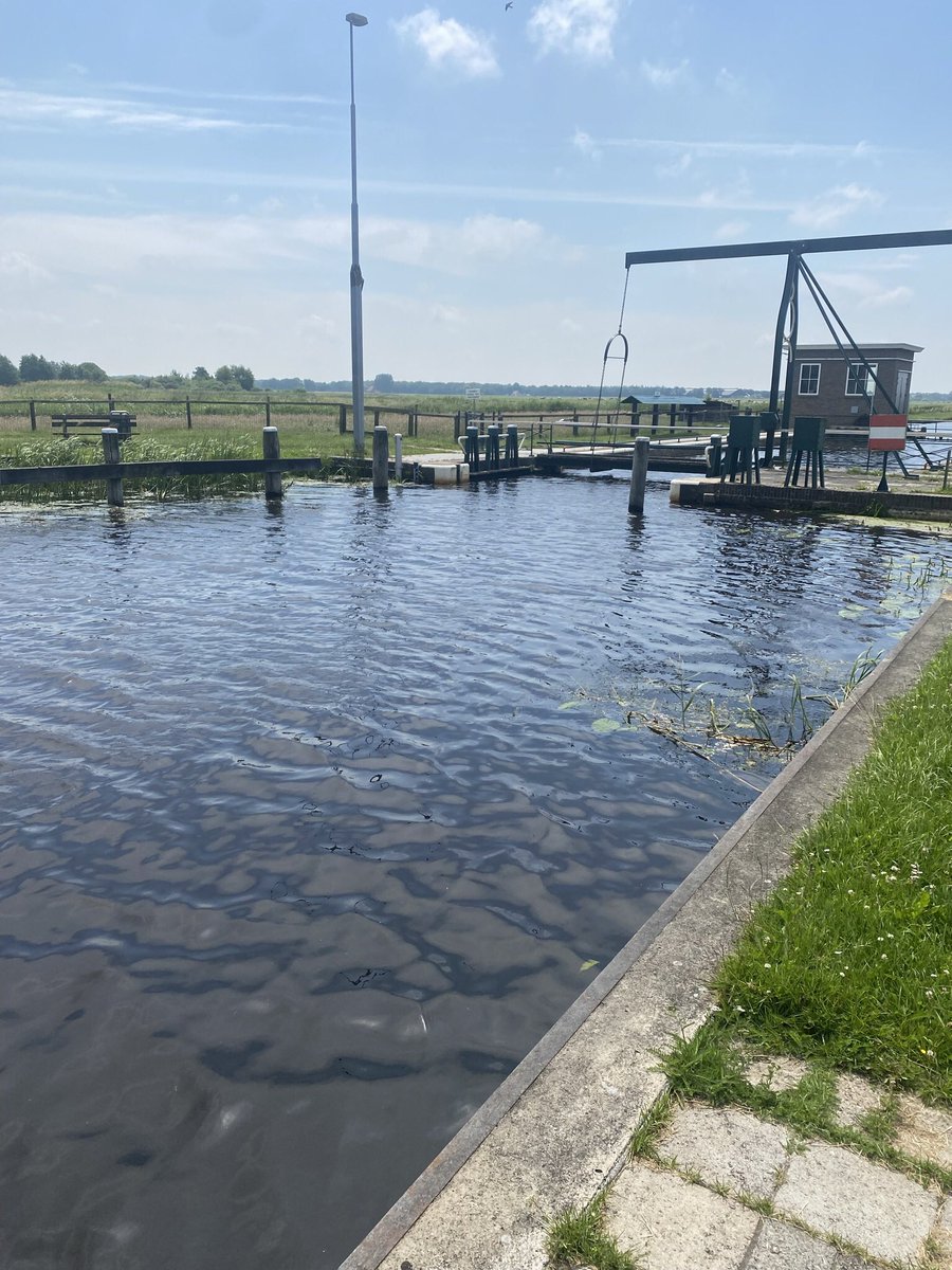 jan van der Werf (@werfwind) on Twitter photo Vanavond wordt concept Waterrecreatie besproken in gemeenteraad <a href="/Heerenveen/">Gemeente Heerenveen</a> .Het eerste punt zal hopelijk zijn dat de komende drie jaar 50.000 euro/jr uit te trekken niet echt in verhouding staat van wat er moet gebeuren. Mss iets van de 9 mlj euro v/d snelle fietsroute afhalen. Vanavond wordt concept Waterrecreatie besproken in gemeenteraad <a href="/Heerenveen/">Gemeente Heerenveen</a> .Het eerste punt zal hopelijk zijn dat de komende drie jaar 50.000 euro/jr uit te trekken niet echt in verhouding staat van wat er moet gebeuren. Mss iets van de 9 mlj euro v/d snelle fietsroute afhalen.