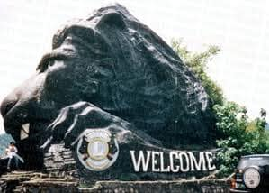 robcham's tweet photo. the yassification of the baguio lion https://t.co/LPWSigAK73
