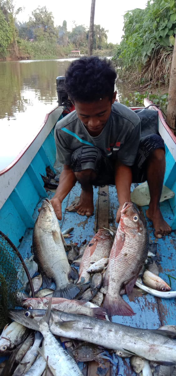 NellyUyey's tweet photo. Kamis (18/11), Nelly Safitri, Luhkan KuTim, di KUB Berkah Sinar Bahari Desa Sangatta Utara, Lapor tangkapan Ikan Kakap Merah 5kg, Ketambak 2kg dan Baronang 3kg, Alat Tangkap Belat, November, harga jual 40rb/kg, 30rb/kg dan 30rb/kg #GiatLuhkanSatminkalTegal #KuTim #Tangkap https://t.co/SXPJVu0638