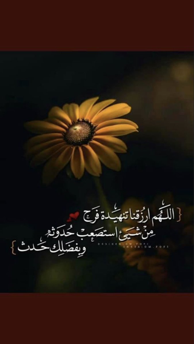 صالح محمد ال حمدان tweet media