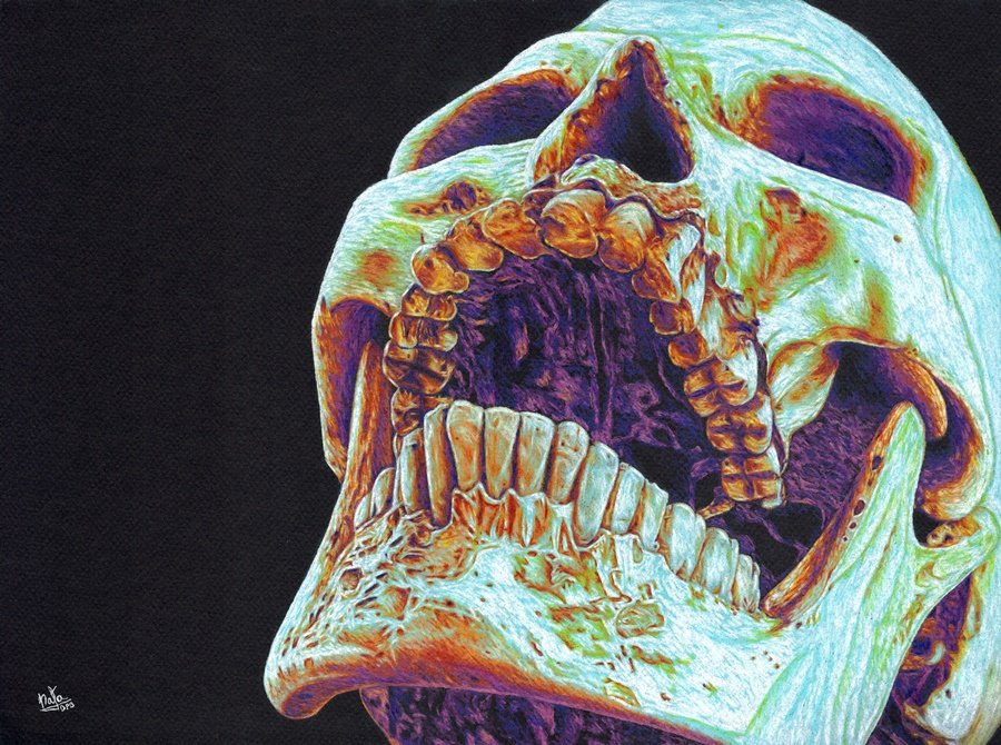 NataDpb's tweet image. Voy a intentar llegar a los 6k antes de que acabe el año 💪🏻

Os dejo algunas de mis ilustraciones a Lápiz de Color y Pasteles al Óleo

Me ayudáis con un RT? ❤️