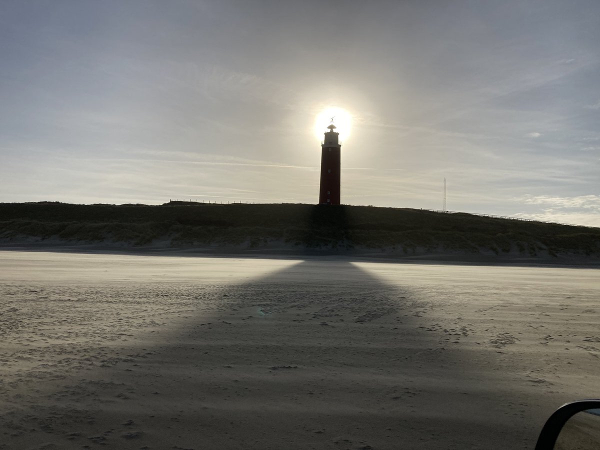 Mosdiertjes