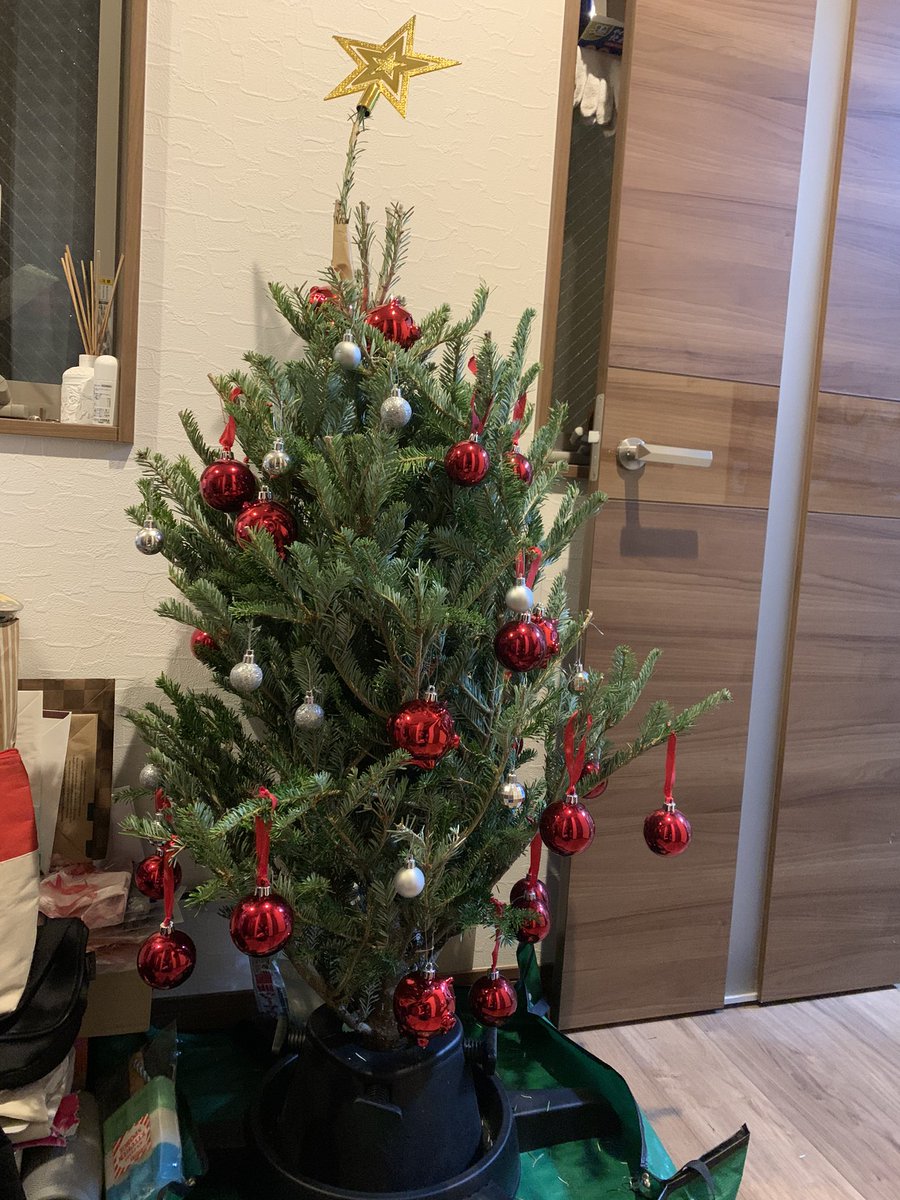 クリスマスツリーは本来なんの木が使われるの 日本で代用4種類とは Every Day