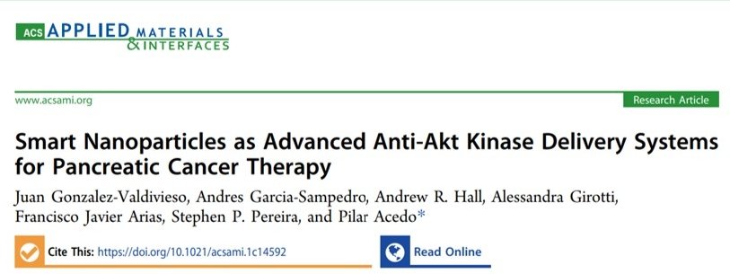 🎉 #JuniorPI My 1st original research #article as Corresponding Author has been published in @ACS_AMI 🤓👏🏻Thanks @PereiraAcedoLab & collaborators for the hard work, specially Juan and @AndresGSam. Perfectly on time for #WorldPancreaticCancerDay!💪🏻