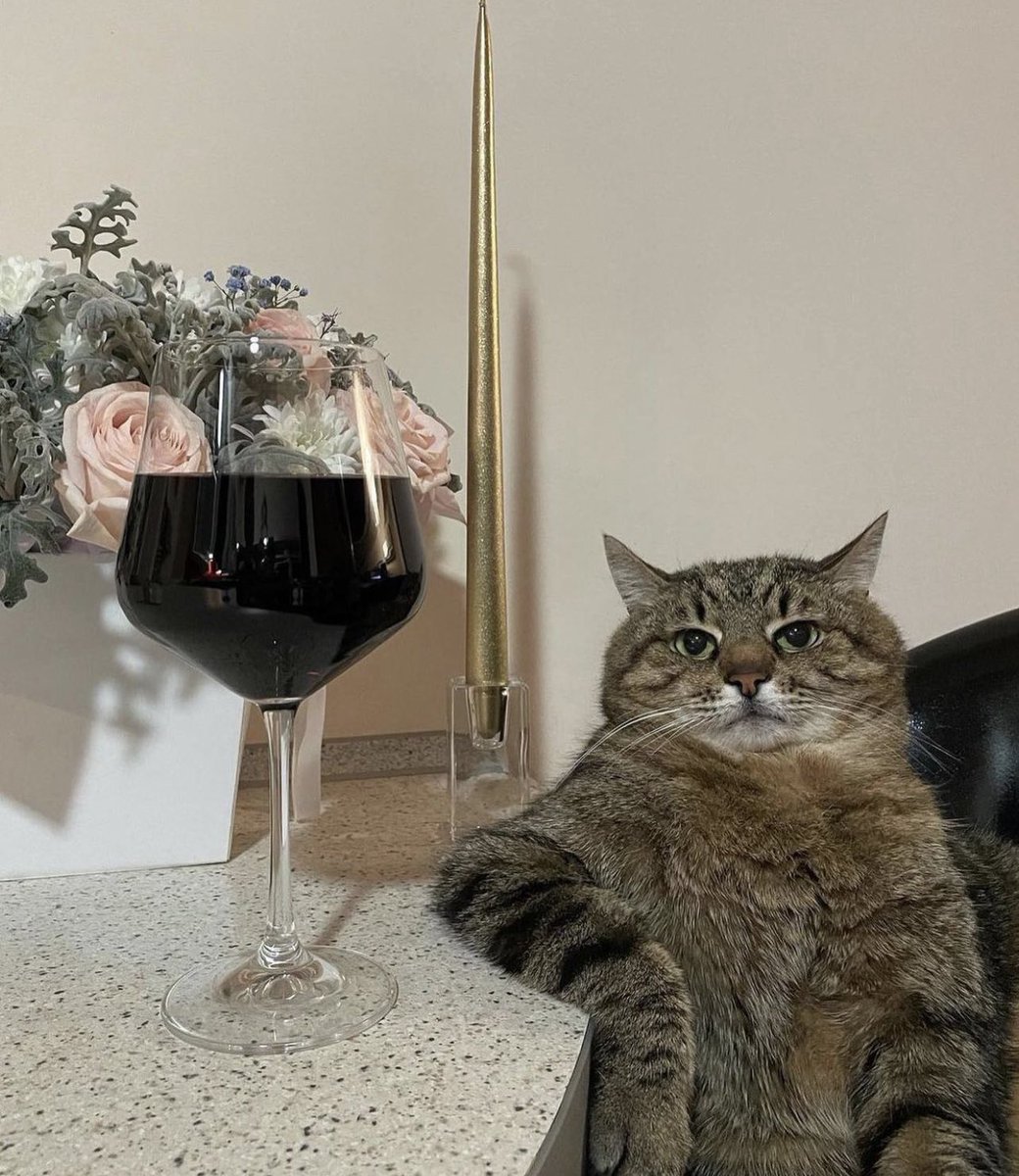gatito_shitpost's tweet photo. admin reveal https://t.co/4AxbjJuwDt