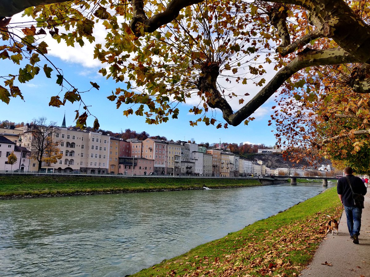 clemmange's tweet photo. THREAD - Clem mange en Autriche 🇦🇹 https://t.co/U3AC8rGDMP