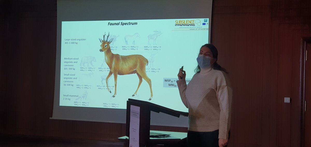 Subsilience's tweet photo. Delphine Vettese presenting the #Neanderthal diet on Riparo #Tagliente. Roe deer for lunch, yummy!!🍗🍖 https://t.co/cP8YgY1Rwt