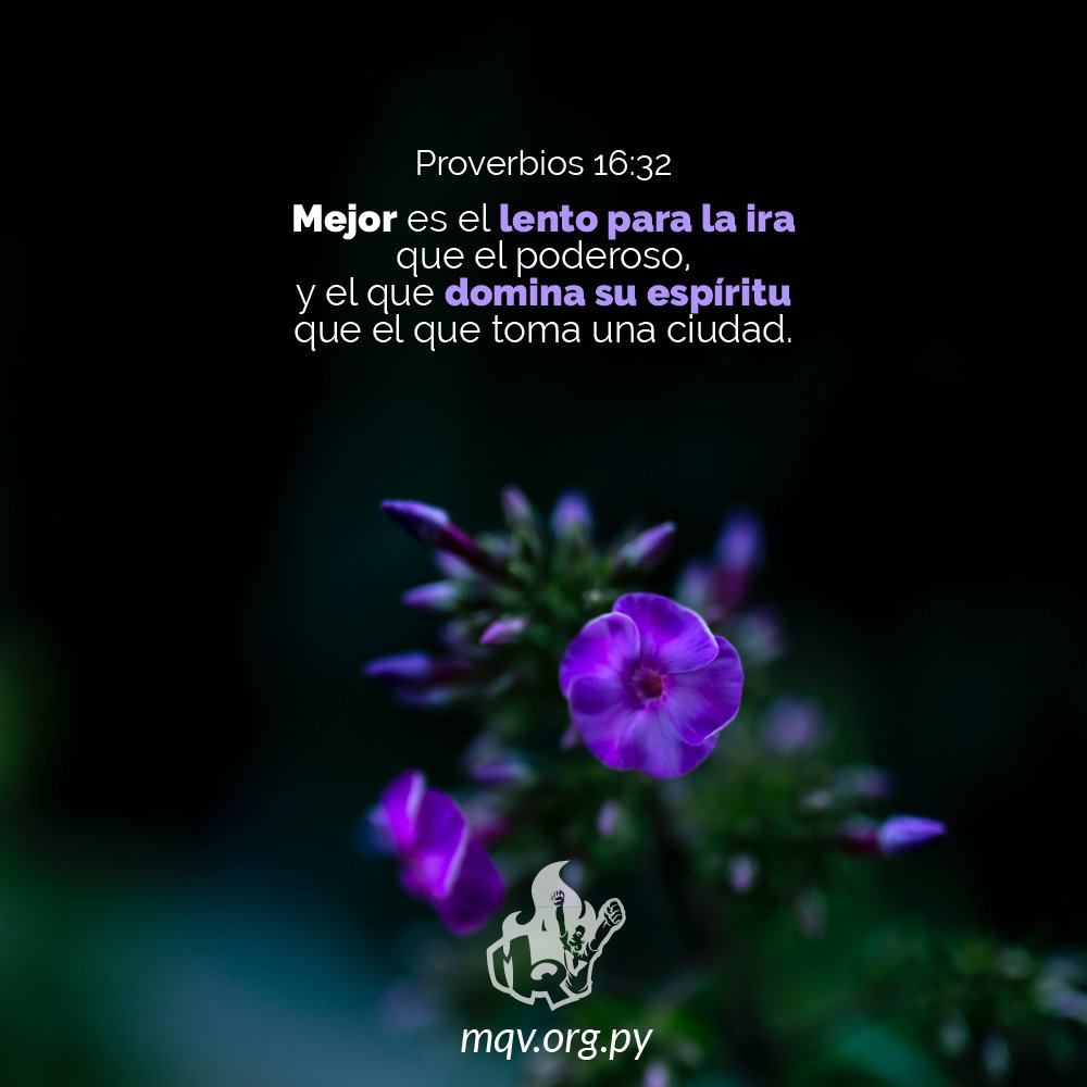 Mqvpy's tweet photo. Nuestro Dios estima más el dominio propio que la fuerza o el ímpetu. Hay más hazaña en controlarse a uno mismo, pues eso es lo verdaderamente difícil. 
Cultivemos este fruto del espíritu con la ayuda y dependencia en el Señor.

#MQVpy #MQV20añosSirviendoConAmor https://t.co/XnYtuZHkq6