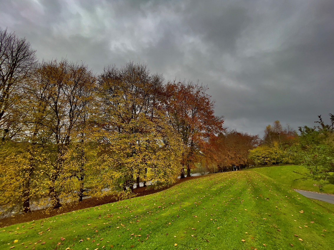 Finlake Holiday Park tweet media