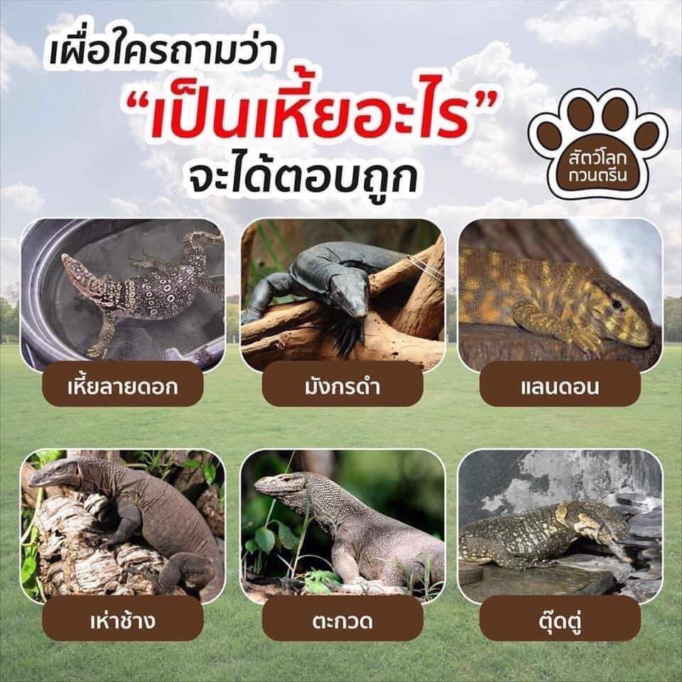 ว่าน tweet media
