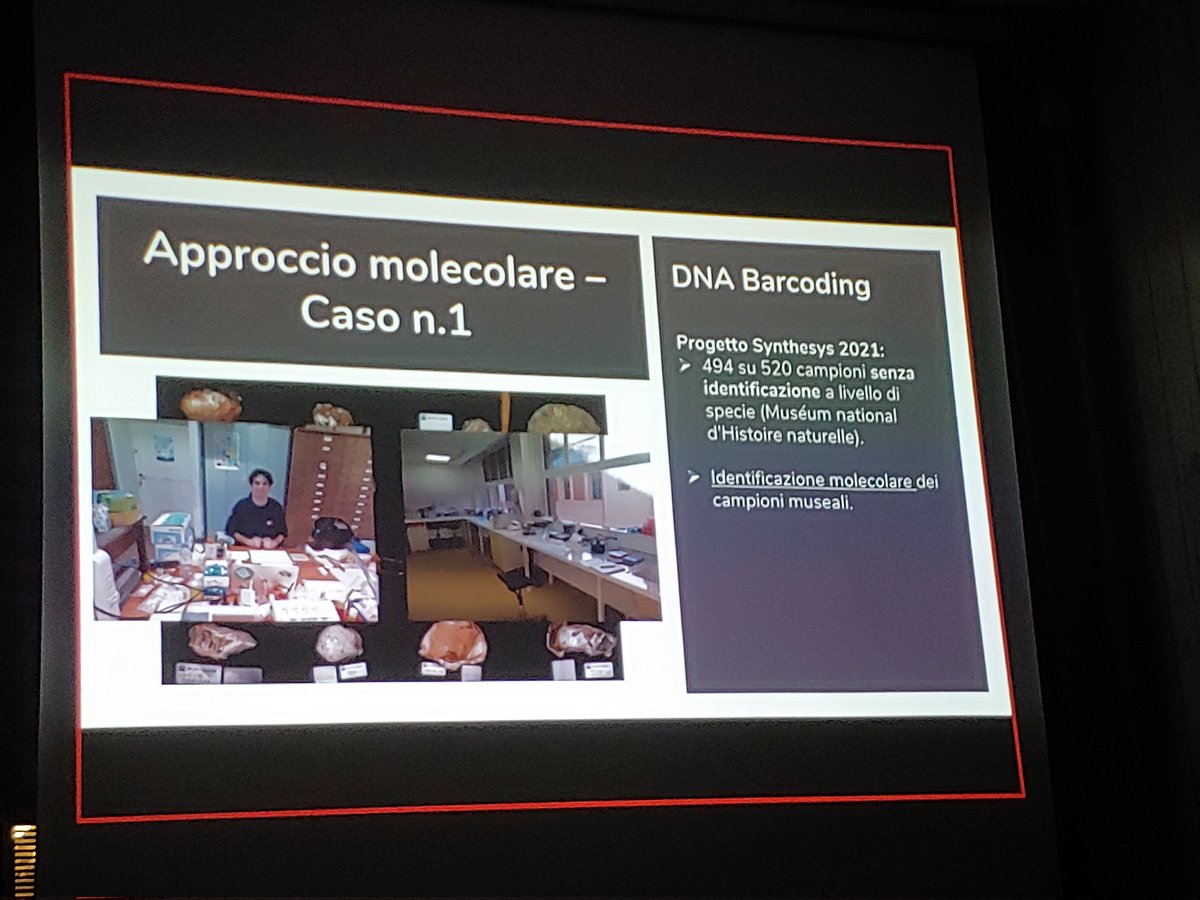 LUnivaq's tweet photo. We started again our lab meetings. @MatteoGarzia2 began with: "Phenotypic plasticity in oysters (Ostreidae Rafinesque, 1815): a historical (and current) problem for the taxonomy and systematic of the group".
#oyster #marinebiology #dnabarcoding #molecularsystematic #DNA https://t.co/cbwvQiHgHH