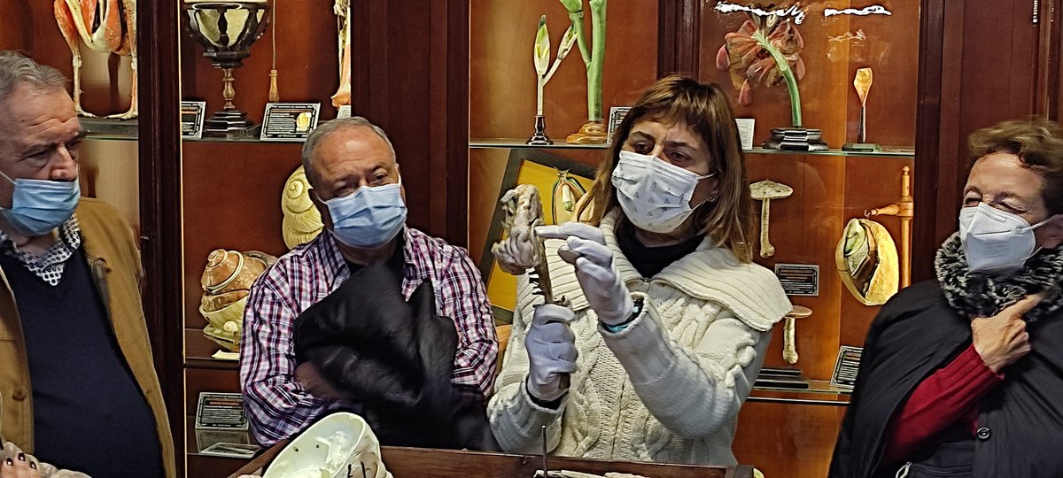 Museo Instituto Padre Suárez - Granada tweet media