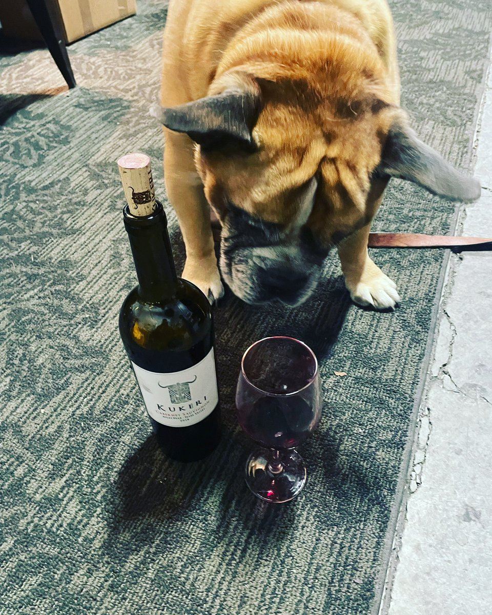 KukeriWines's tweet photo. #WineWednesday #KukeriWines🍷 https://t.co/npjPqOQtSP