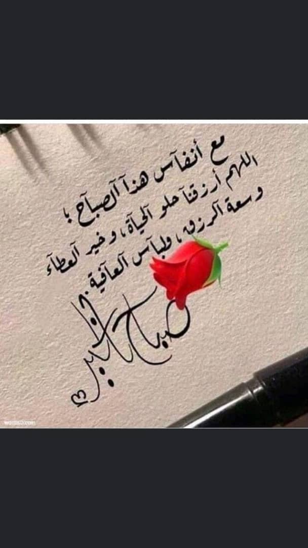 LIBRA11372117's tweet photo. صباحيات.. https://t.co/3L7GyMLQmR