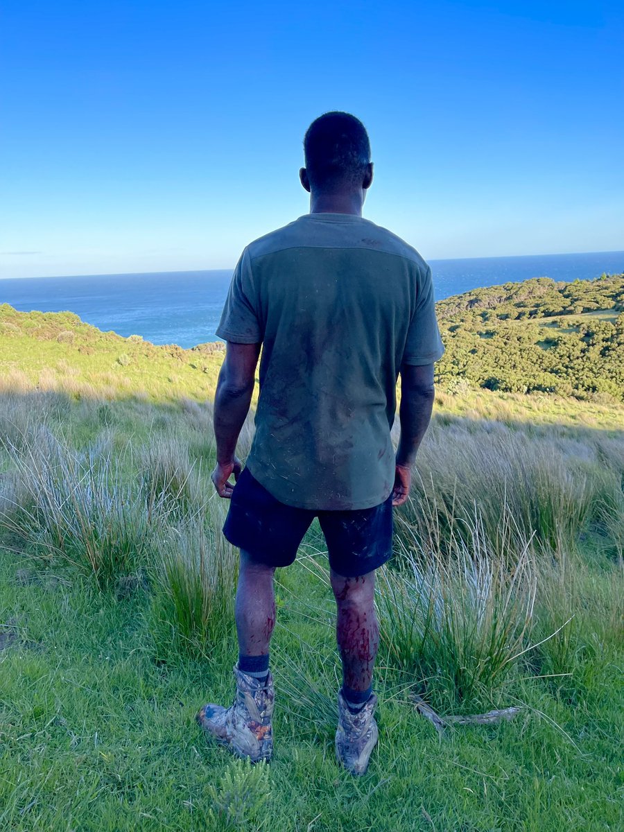 stylebender's tweet photo. 🥩
If “I’m prepared to die”
Then I’m prepared to kill. https://t.co/MhQ6sK5Ee9