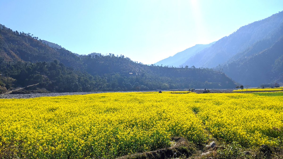 cbidhya's tweet photo. ताेरी फुल्ने गाउँ छेउ माया फुलाउँ कि ! 😊🌸
#Hernekatha #TravelStory #Lastyearmemory https://t.co/hp3dGWUneQ