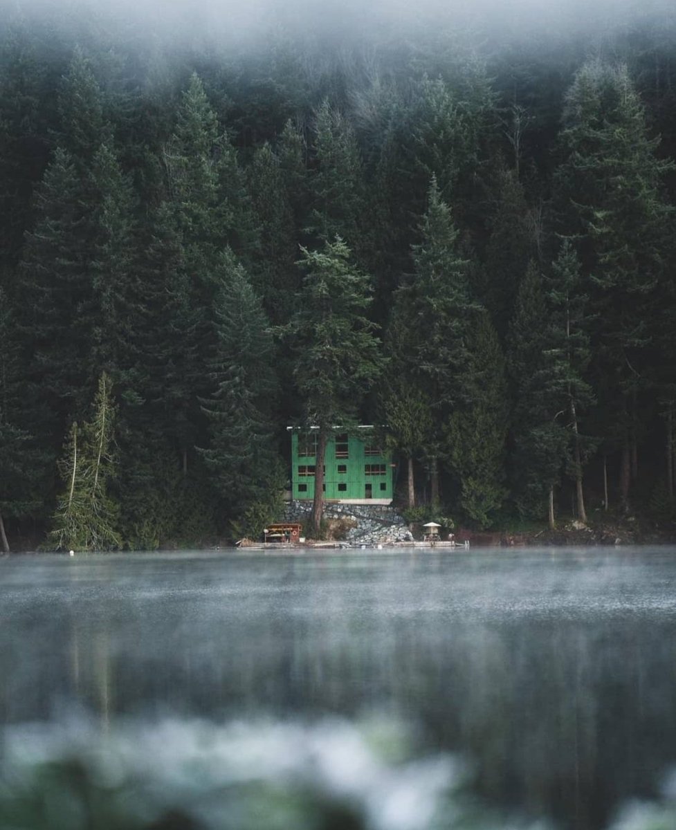 Lady021ll's tweet photo. #fon_on_lake #pine_forest #house_on_lake https://t.co/Z6C1JZVO9V