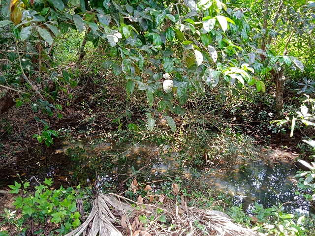 mgnrega udupi tweet media