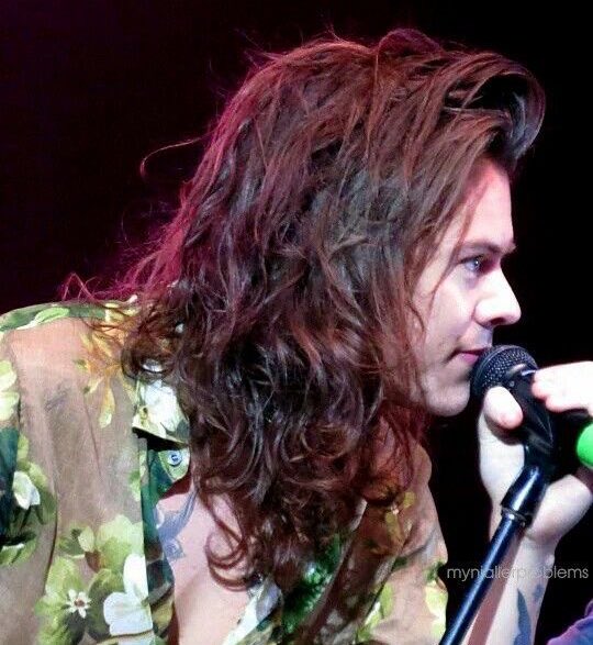 hourlylhh's tweet photo. Harry Styles                Harry Styles
    2016                             2021 https://t.co/RJONDzPz2w